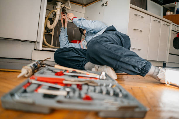 Best Affordable Plumbing Services  in Gold Canyon, AZ