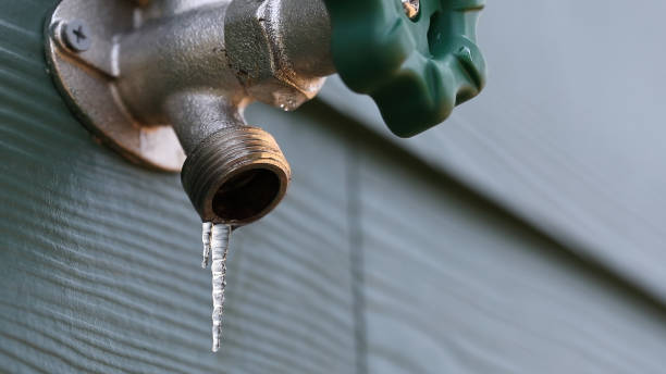 Best Sewer Line Repair  in Gold Canyon, AZ