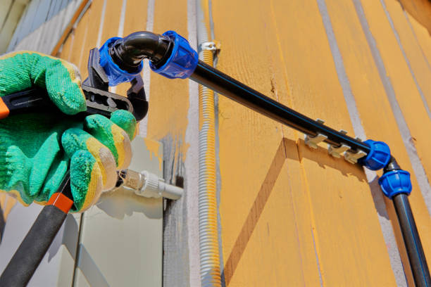 Best Affordable Plumber Near Me  in Gold Canyon, AZ